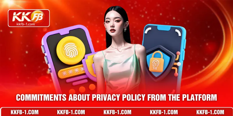 Commitments about Privacy policy from the platform